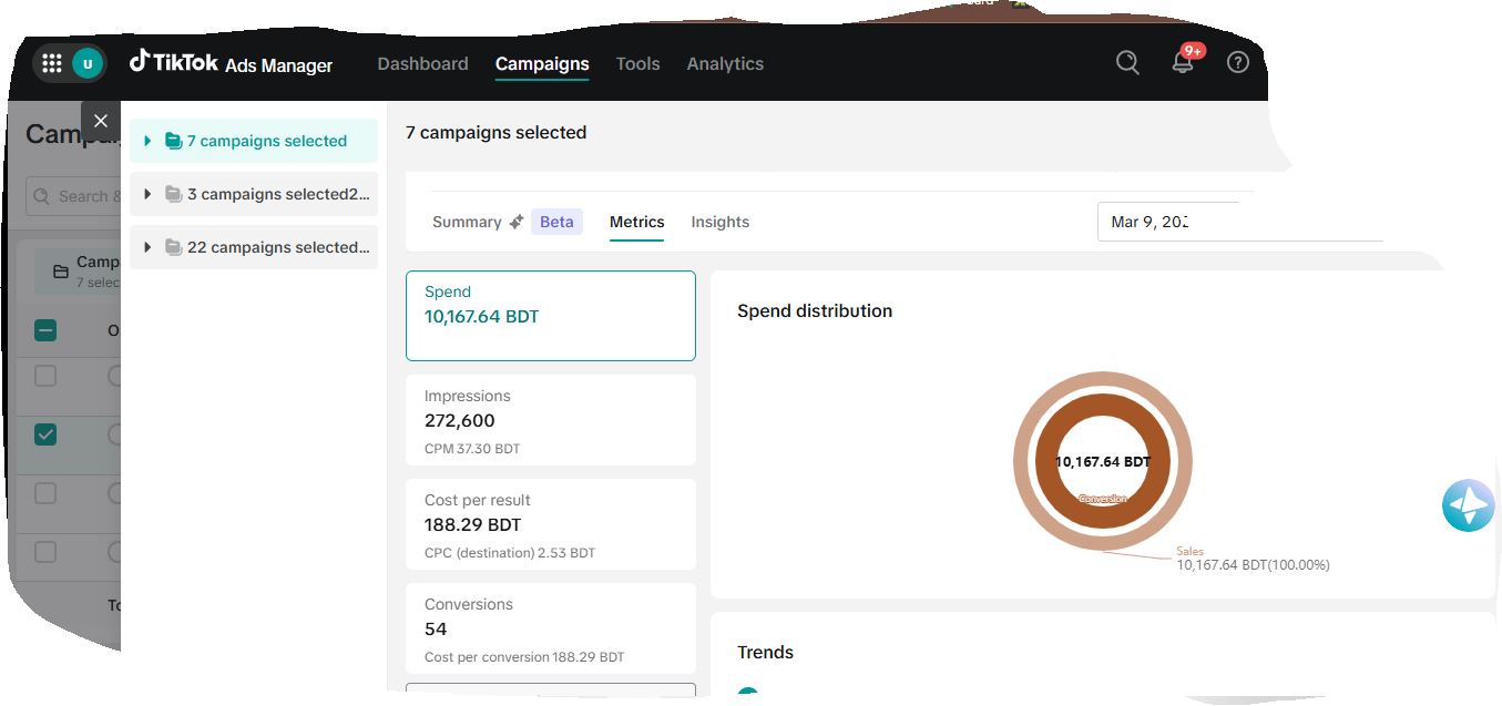 TikTok Ads Manager: 272K Impressions
